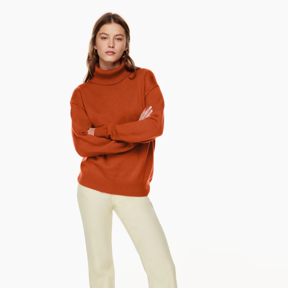 Aritzia Wilfred Free Treasures Turtleneck in Copper Red